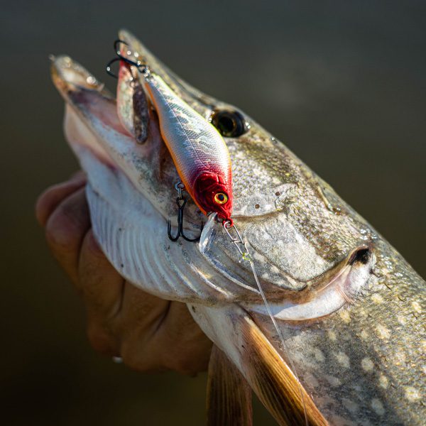 4 select instagram gallery